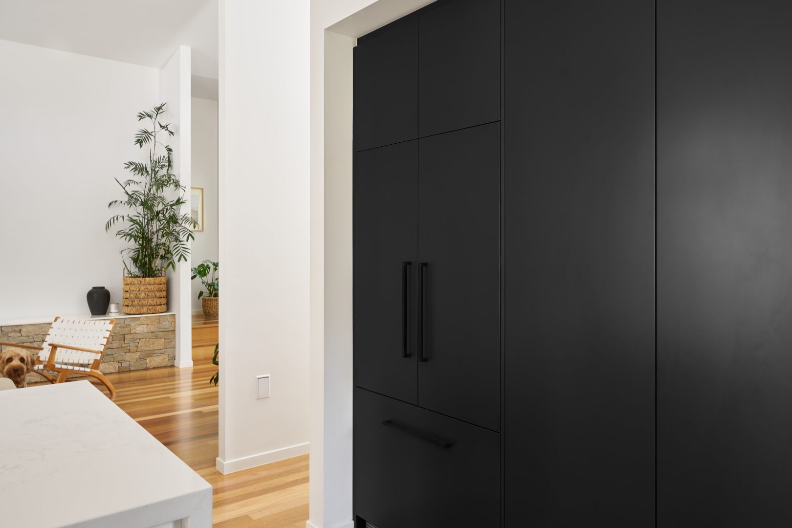 Modern interior with black cabinets and plants